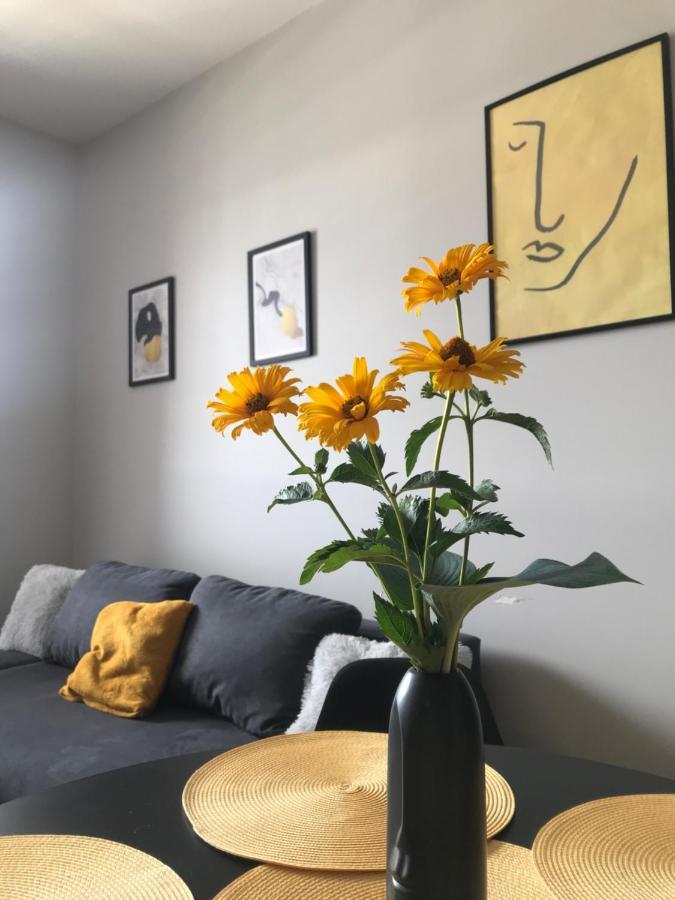 Apartament No82 Yellow Holiday Home زاتور المظهر الخارجي الصورة